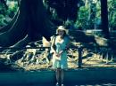 Pauline: Very old tree in Cadiz
